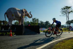 BIB: 
                            <button type="button" onclick="openModal(26182984)" class="btn btn-primary btn-sm float-right btn-popup" data-toggle="modal" data-target=".modal-high-quality">
                        <i class="fas fa-shopping-cart"></i> Add to Cart
                    </button>
                                            <button type="button" onclick="isThisMe(26182984, true)" class="btn btn-success btn-sm float-right btn-popup btn-isme hidden" data-toggle="tooltip" data-placement="bottom" title="นี่คือรูปของคุณใช่ไหม คลิกที่นี่เพื่อเอาเข้าอัลบั้ม">
                        <i class="fas fa-plus"></i> Add to album
                    </button>
                    <button type="button" onclick="isThisMe(26182984, false)" class="btn btn-warning btn-sm float-right btn-popup btn-isnotme hidden">
                        <i class="fas fa-ban"></i> Remove from album
                    </button>